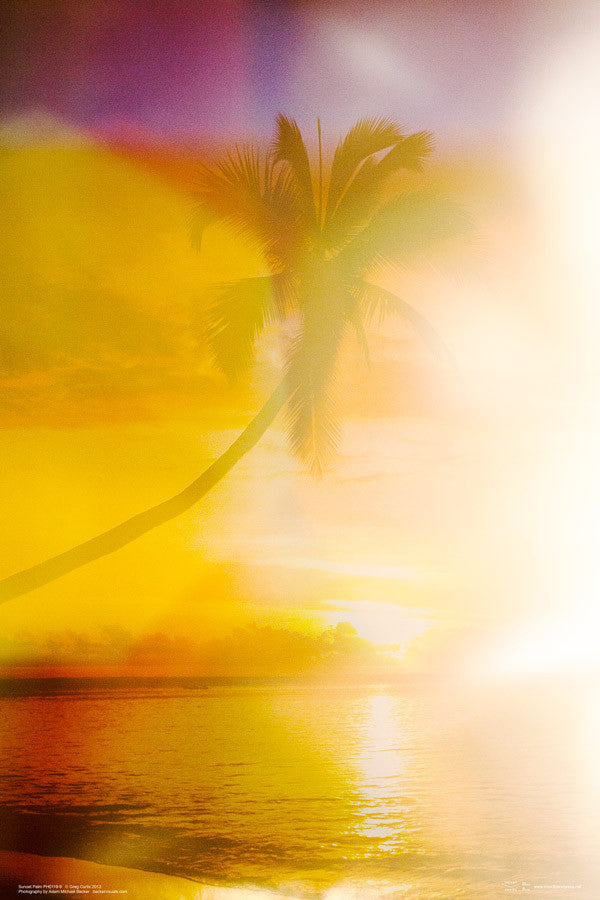 Sunset Palm